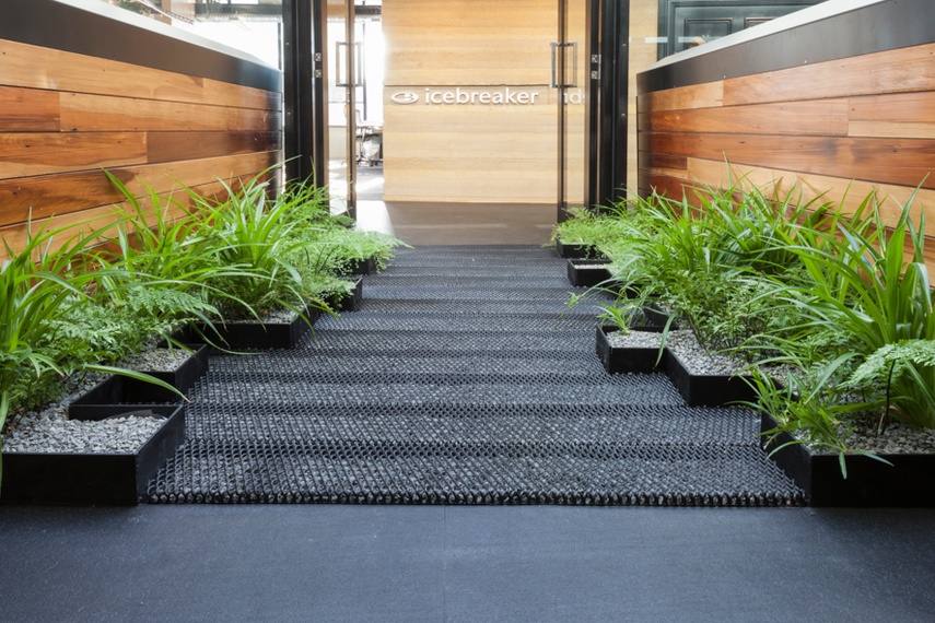 Plants at the entrance to the Icebreaker office.