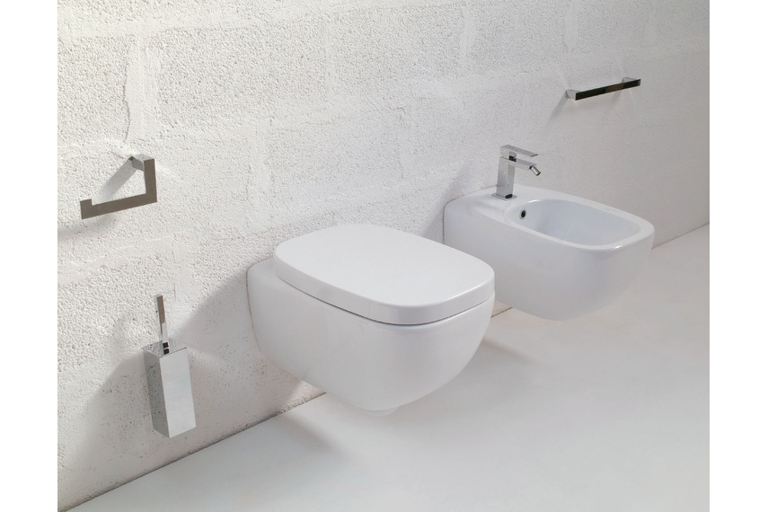 Dial white wall hung pan and wall hung bidet