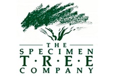 Specimen Tree Company