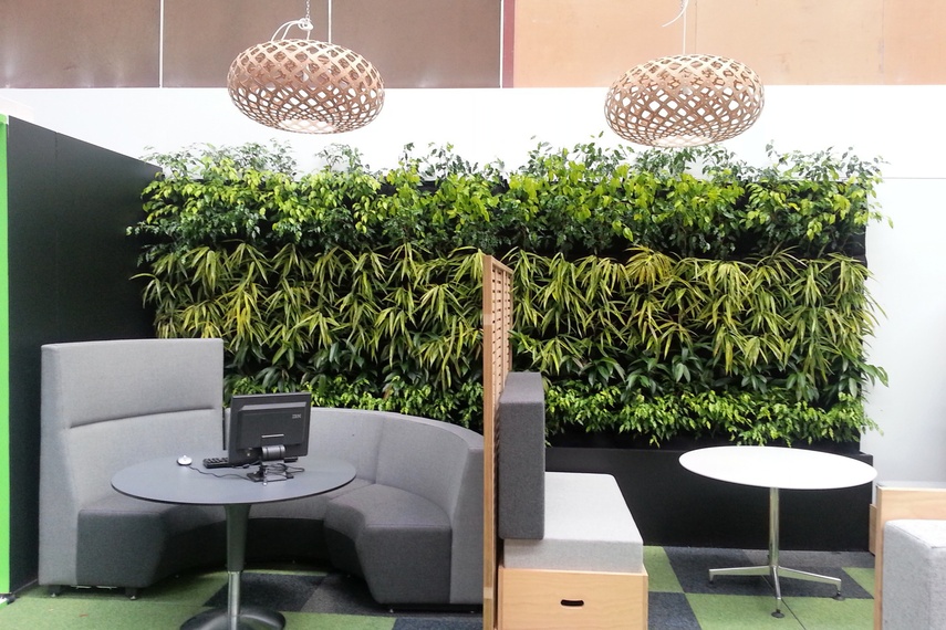 Mobile Living Walls are serviced and maintained on a regular basis.