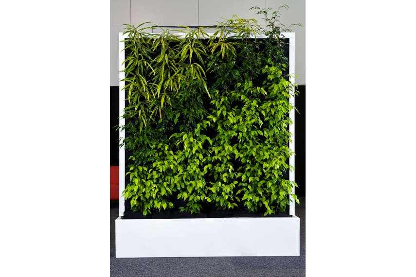 The Mobile Green Wall is the ideal modular plantscape system to bring energy and life to vertical surfaces.