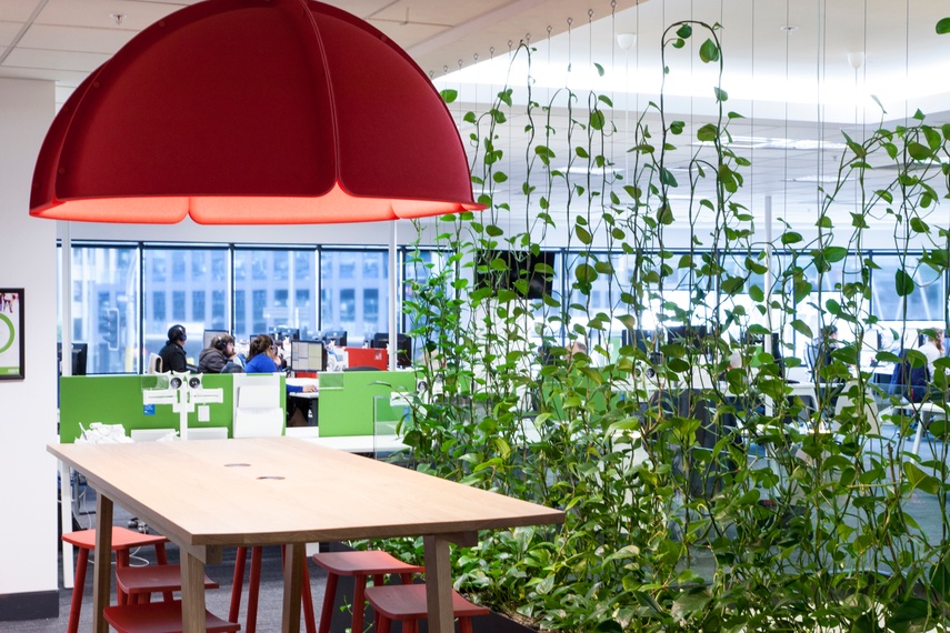The Green Facade increases productivity, staff retention and the feeling of wellbeing.