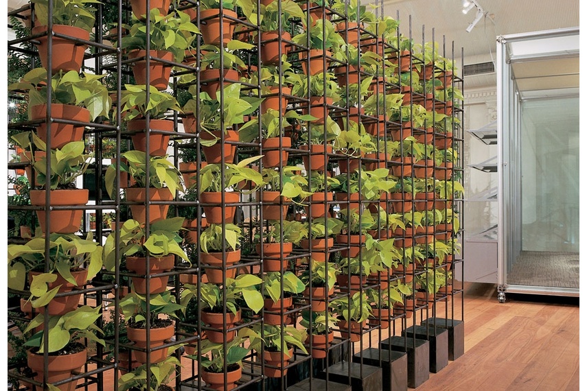 Vertical Garden