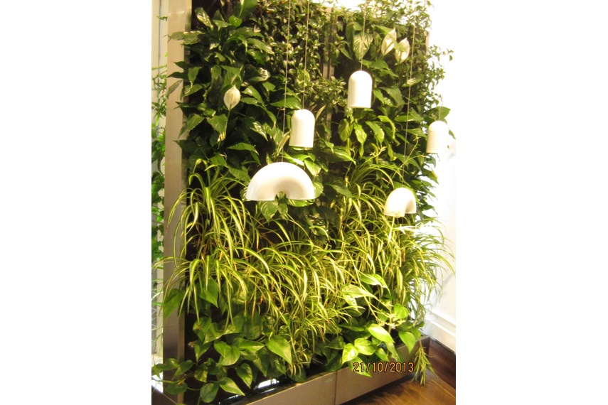Mobility means the Mobile Green Wall is easily relocated on a level surface.