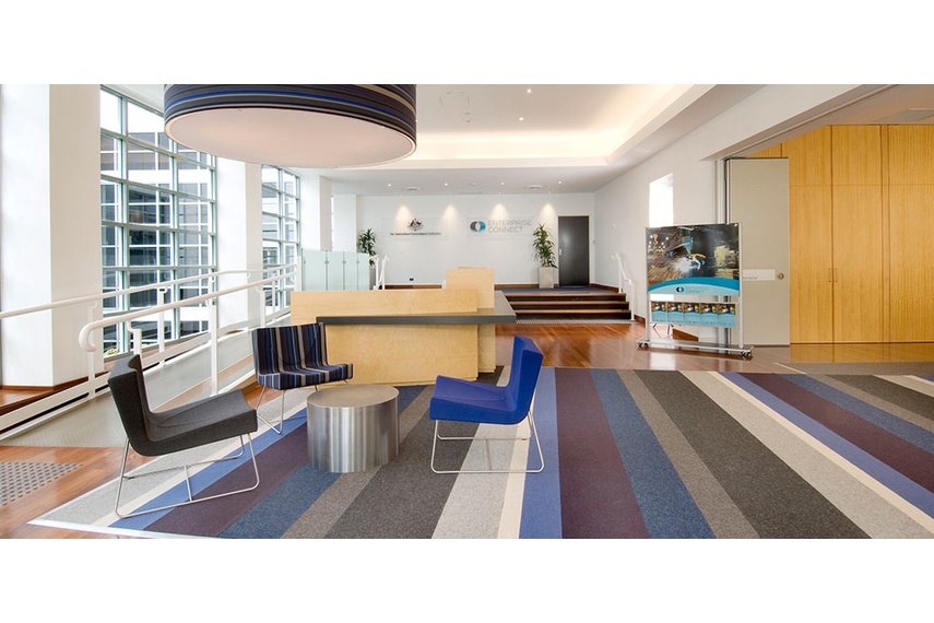 Tretford rugs at Dept of Innovations