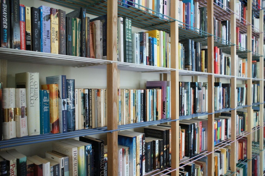 The Historian shelving.