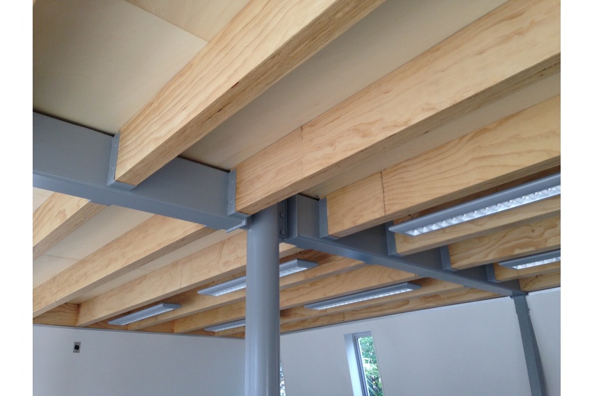 Clear sealed, the edge veneer detail of LVL adds an aesthetic difference to any floor or ceiling.